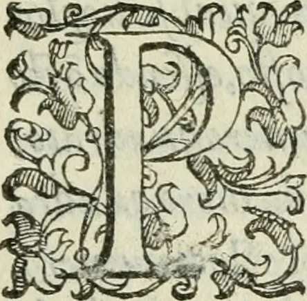 An illustration from Del modo di misvrare : le distantie, le superficie, i corpi, le piante, le prouincie, le prospettiue, & tutte le altre cose terrene, che possono occurrere a gli huomini, secondo le vere regole d'Euclide, & de gli altri piu lodati scrittori, 1589, leaf 264