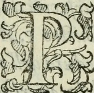 An illustration from Del modo di misvrare : le distantie, le superficie, i corpi, le piante, le prouincie, le prospettiue, & tutte le altre cose terrene, che possono occurrere a gli huomini, secondo le vere regole d'Euclide, & de gli altri piu lodati scrittori, 1589, leaf 28