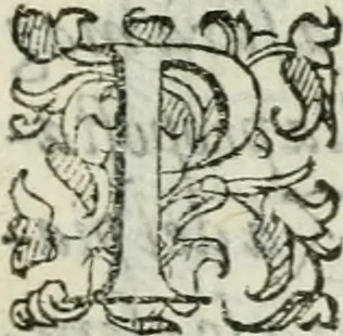 An illustration from Del modo di misvrare : le distantie, le superficie, i corpi, le piante, le prouincie, le prospettiue, & tutte le altre cose terrene, che possono occurrere a gli huomini, secondo le vere regole d'Euclide, & de gli altri piu lodati scrittori, 1589, leaf 56