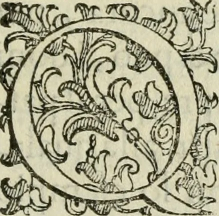 An illustration from Del modo di misvrare : le distantie, le superficie, i corpi, le piante, le prouincie, le prospettiue, & tutte le altre cose terrene, che possono occurrere a gli huomini, secondo le vere regole d'Euclide, & de gli altri piu lodati scrittori, 1589, leaf 6
