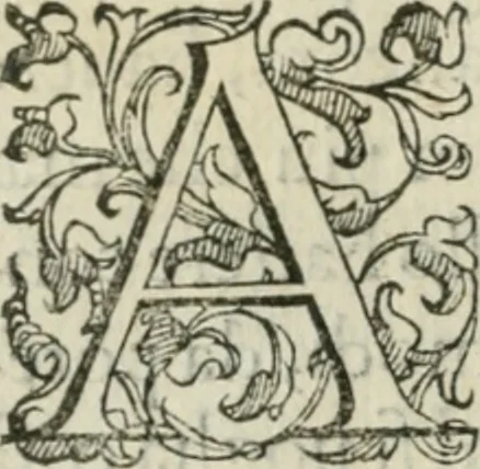 An illustration from Del modo di misvrare : le distantie, le superficie, i corpi, le piante, le prouincie, le prospettiue, & tutte le altre cose terrene, che possono occurrere a gli huomini, secondo le vere regole d'Euclide, & de gli altri piu lodati scrittori, 1589, leaf 9