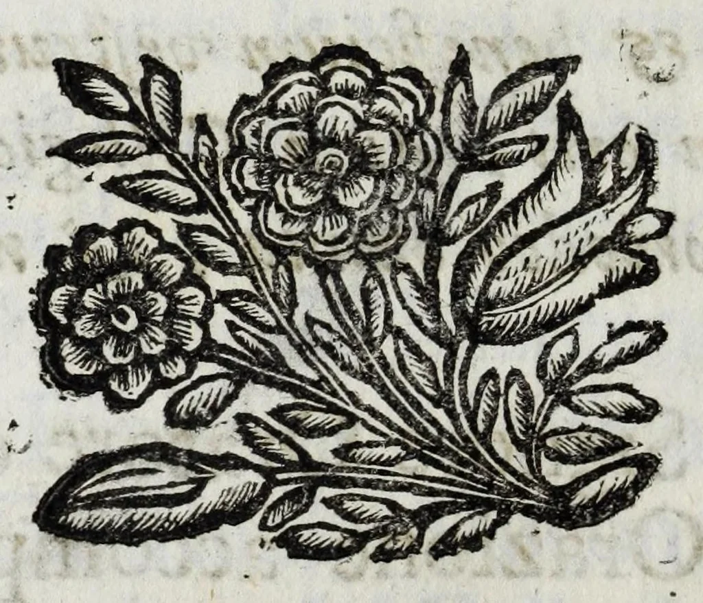An illustration from Dimostrationi d' allegrezza fatte dagl' illustrissimi abati, e Collegio de' signori conti, e caualieri giurisconsulti : con l' occasione dell' ingresso nello stesso Collegio dell' eminentissimo signor cardinale Luigi Omodei, 1692, leaf 34