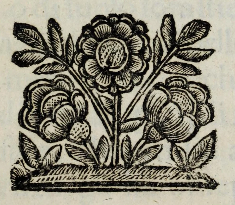 An illustration from Dimostrationi d' allegrezza fatte dagl' illustrissimi abati, e Collegio de' signori conti, e caualieri giurisconsulti : con l' occasione dell' ingresso nello stesso Collegio dell' eminentissimo signor cardinale Luigi Omodei, 1692, leaf 7