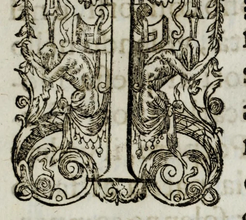 An illustration from Dimostrationi d' allegrezza fatte dagl' illustrissimi abati, e Collegio de' signori conti, e caualieri giurisconsulti : con l' occasione dell' ingresso nello stesso Collegio dell' eminentissimo signor cardinale Luigi Omodei, 1692, leaf 9
