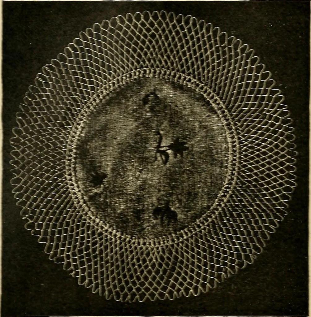 An illustration from The dining room and its appointments, 1896, leaf 110