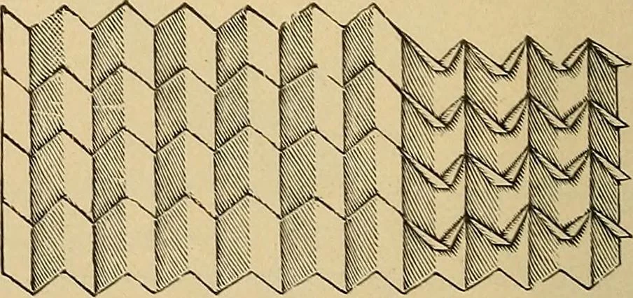 An illustration from The dining room and its appointments, 1896, leaf 114