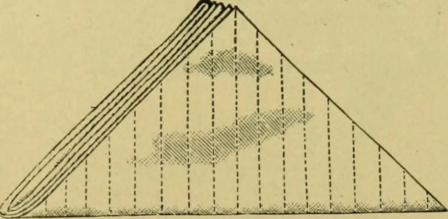 An illustration from The dining room and its appointments, 1896, leaf 117