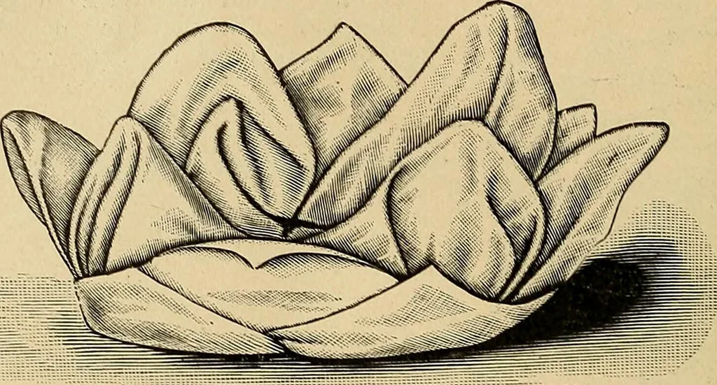 An illustration from The dining room and its appointments, 1896, leaf 118