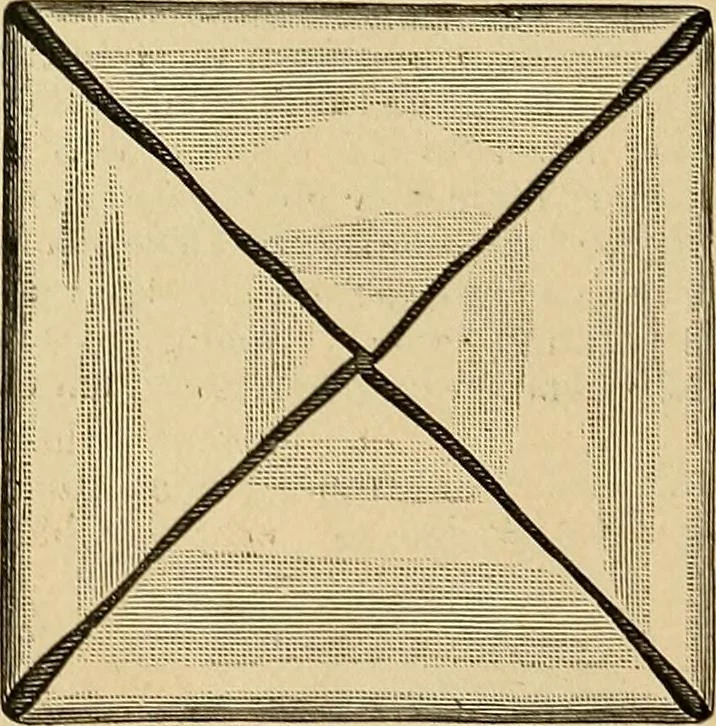 An illustration from The dining room and its appointments, 1896, leaf 118