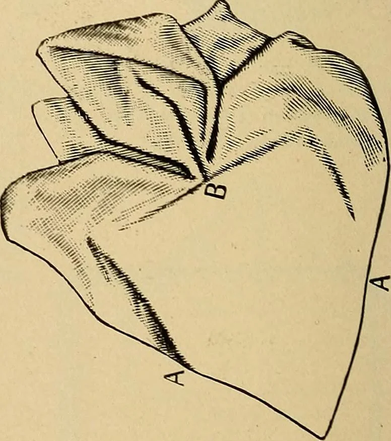An illustration from The dining room and its appointments, 1896, leaf 118