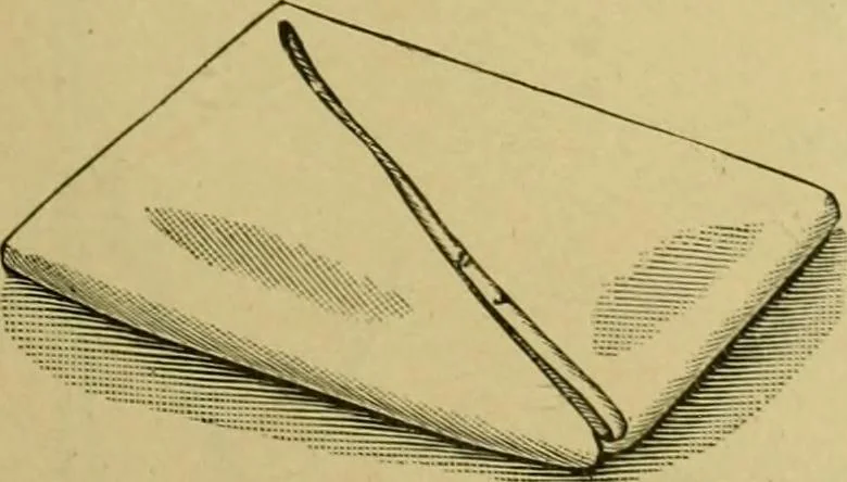An illustration from The dining room and its appointments, 1896, leaf 119