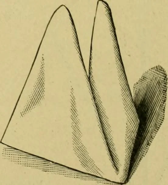 An illustration from The dining room and its appointments, 1896, leaf 119
