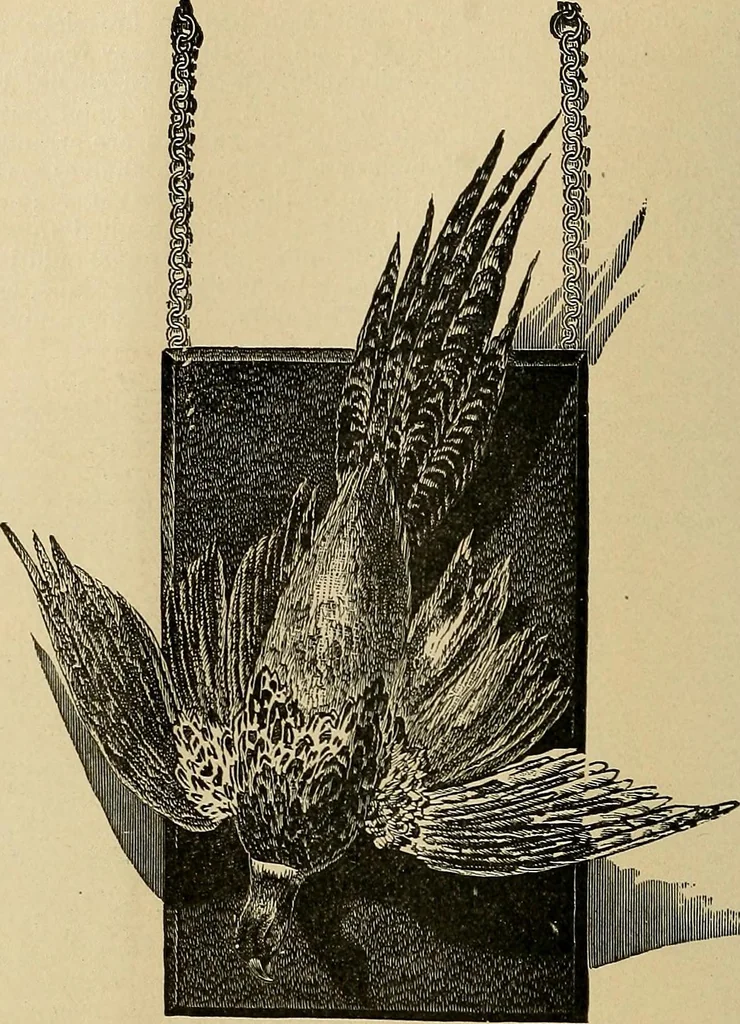 An illustration from The dining room and its appointments, 1896, leaf 20