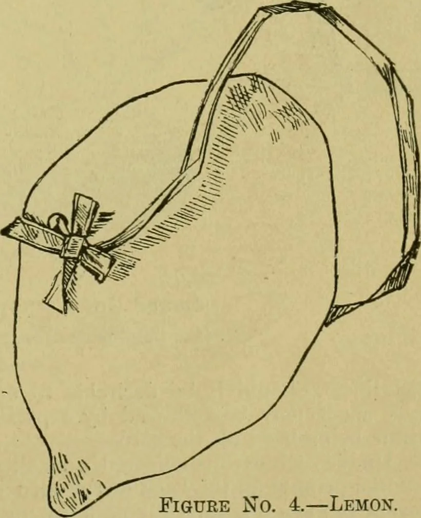 An illustration from The dining room and its appointments, 1896, leaf 33