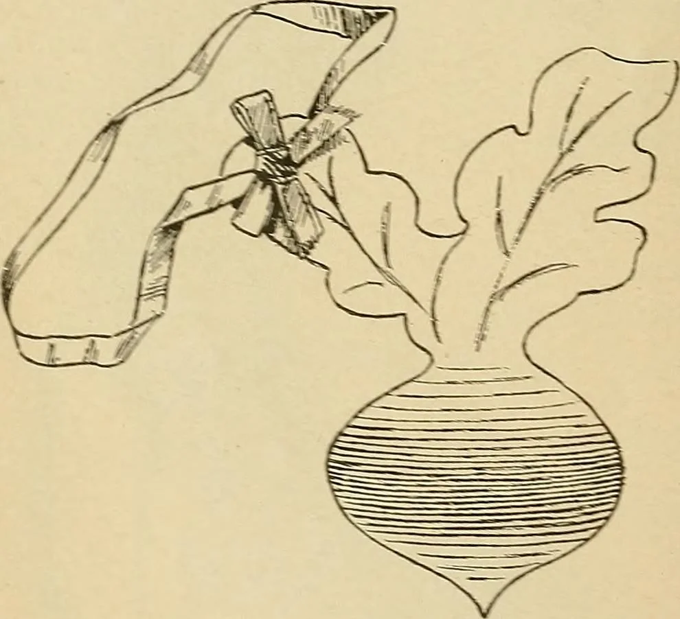 An illustration from The dining room and its appointments, 1896, leaf 34