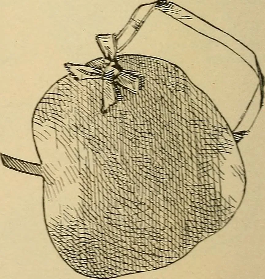 An illustration from The dining room and its appointments, 1896, leaf 34