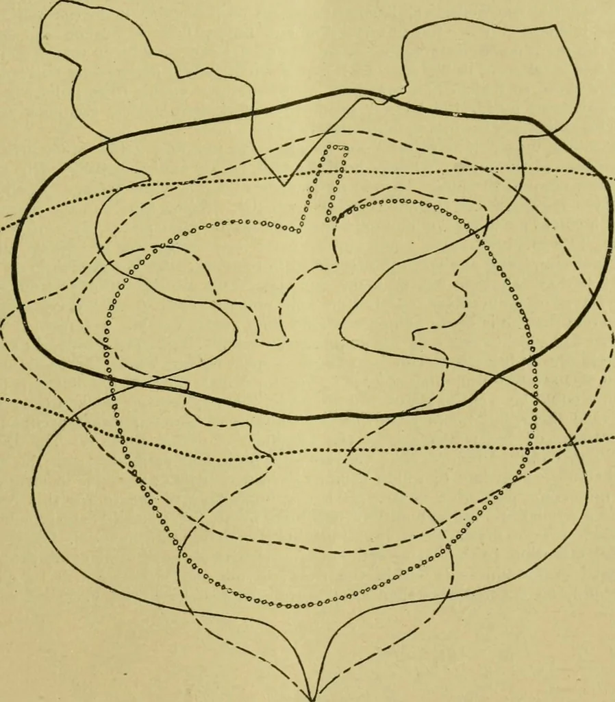 An illustration from The dining room and its appointments, 1896, leaf 35