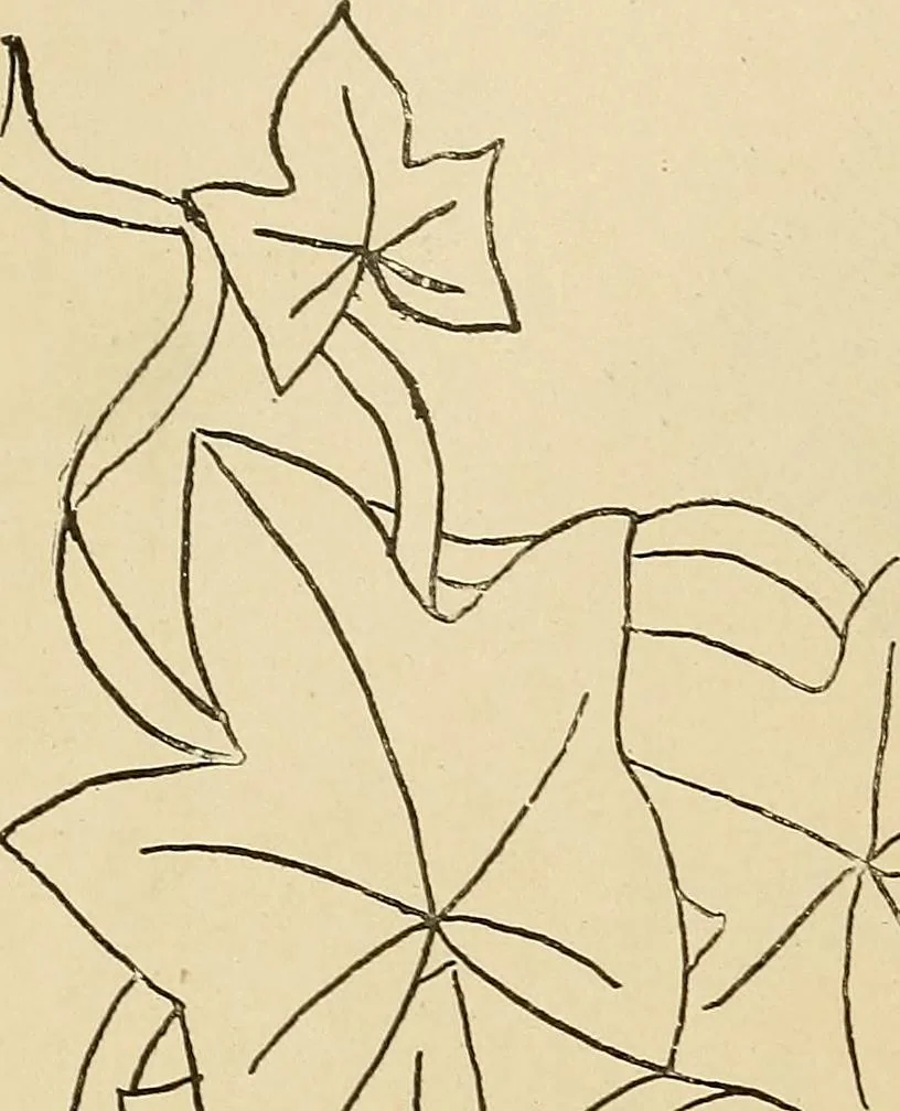 An illustration from The dining room and its appointments, 1896, leaf 44