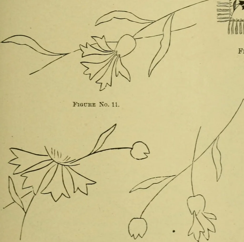 An illustration from The dining room and its appointments, 1896, leaf 59
