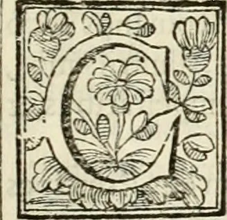 An illustration from D. Ioannis de Solorzano Pereira ... Emblemata centum, regio politica : ligneis laminis affabre caelata, vividisque et limitatis carminibus explicata, & singularibus commentarijs affatim illustrata : quibus, quicquid ad regum institutionem, et rectam reip. administrationem conducere & pertinere videtur, summo studio disseritur ... : cum quadruplici indice absolutissimo .., 1653, leaf 108