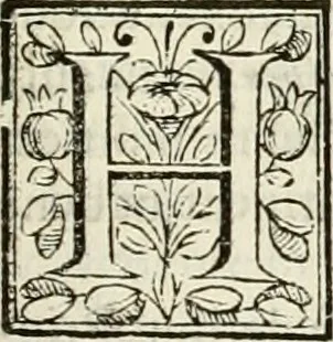 An illustration from D. Ioannis de Solorzano Pereira ... Emblemata centum, regio politica : ligneis laminis affabre caelata, vividisque et limitatis carminibus explicata, & singularibus commentarijs affatim illustrata : quibus, quicquid ad regum institutionem, et rectam reip. administrationem conducere & pertinere videtur, summo studio disseritur ... : cum quadruplici indice absolutissimo .., 1653, leaf 140