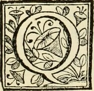 An illustration from D. Ioannis de Solorzano Pereira ... Emblemata centum, regio politica : ligneis laminis affabre caelata, vividisque et limitatis carminibus explicata, & singularibus commentarijs affatim illustrata : quibus, quicquid ad regum institutionem, et rectam reip. administrationem conducere & pertinere videtur, summo studio disseritur ... : cum quadruplici indice absolutissimo .., 1653, leaf 173