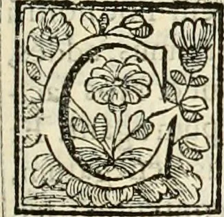 An illustration from D. Ioannis de Solorzano Pereira ... Emblemata centum, regio politica : ligneis laminis affabre caelata, vividisque et limitatis carminibus explicata, & singularibus commentarijs affatim illustrata : quibus, quicquid ad regum institutionem, et rectam reip. administrationem conducere & pertinere videtur, summo studio disseritur ... : cum quadruplici indice absolutissimo .., 1653, leaf 180