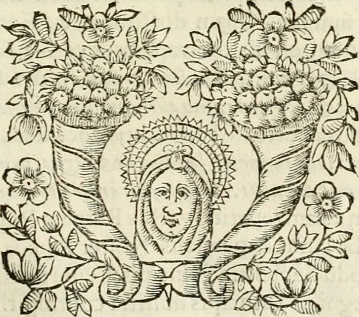 An illustration from D. Ioannis de Solorzano Pereira ... Emblemata centum, regio politica : ligneis laminis affabre caelata, vividisque et limitatis carminibus explicata, & singularibus commentarijs affatim illustrata : quibus, quicquid ad regum institutionem, et rectam reip. administrationem conducere & pertinere videtur, summo studio disseritur ... : cum quadruplici indice absolutissimo .., 1653, leaf 204