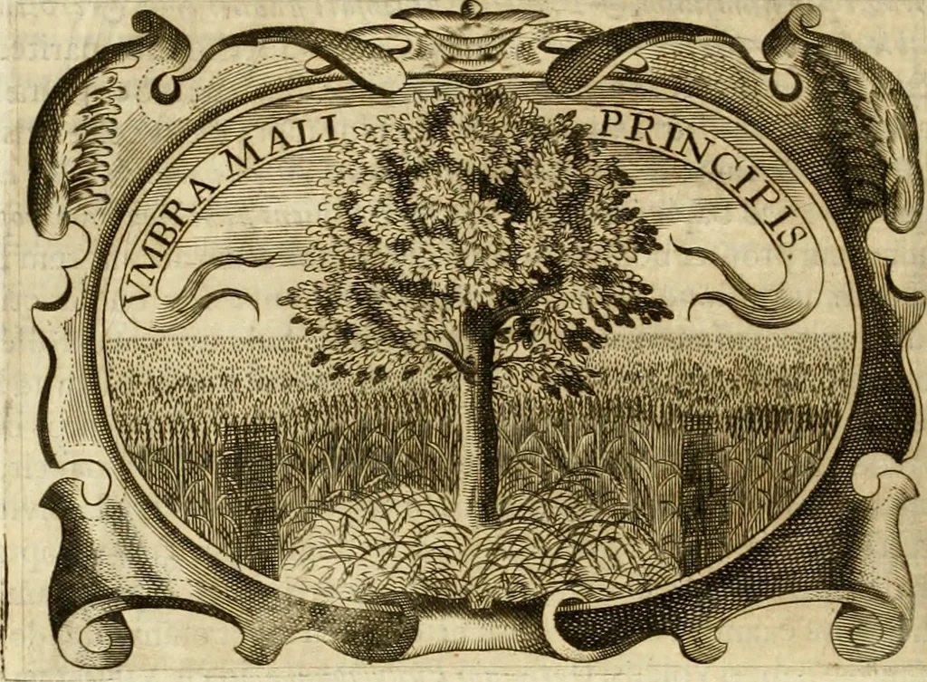 An illustration from D. Ioannis de Solorzano Pereira ... Emblemata centum, regio politica : ligneis laminis affabre caelata, vividisque et limitatis carminibus explicata, & singularibus commentarijs affatim illustrata : quibus, quicquid ad regum institutionem, et rectam reip. administrationem conducere & pertinere videtur, summo studio disseritur ... : cum quadruplici indice absolutissimo .., 1653, leaf 205