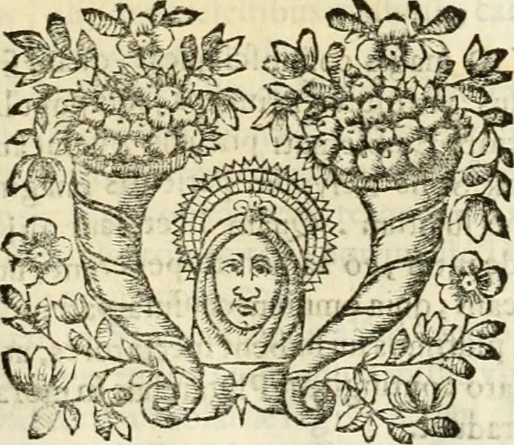 An illustration from D. Ioannis de Solorzano Pereira ... Emblemata centum, regio politica : ligneis laminis affabre caelata, vividisque et limitatis carminibus explicata, & singularibus commentarijs affatim illustrata : quibus, quicquid ad regum institutionem, et rectam reip. administrationem conducere & pertinere videtur, summo studio disseritur ... : cum quadruplici indice absolutissimo .., 1653, leaf 210