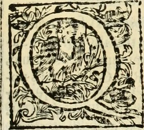 An illustration from D. Ioannis de Solorzano Pereira ... Emblemata centum, regio politica : ligneis laminis affabre caelata, vividisque et limitatis carminibus explicata, & singularibus commentarijs affatim illustrata : quibus, quicquid ad regum institutionem, et rectam reip. administrationem conducere & pertinere videtur, summo studio disseritur ... : cum quadruplici indice absolutissimo .., 1653, leaf 216