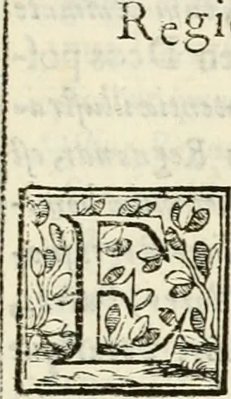 An illustration from D. Ioannis de Solorzano Pereira ... Emblemata centum, regio politica : ligneis laminis affabre caelata, vividisque et limitatis carminibus explicata, & singularibus commentarijs affatim illustrata : quibus, quicquid ad regum institutionem, et rectam reip. administrationem conducere & pertinere videtur, summo studio disseritur ... : cum quadruplici indice absolutissimo .., 1653, leaf 28