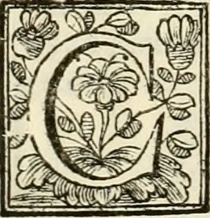 An illustration from D. Ioannis de Solorzano Pereira ... Emblemata centum, regio politica : ligneis laminis affabre caelata, vividisque et limitatis carminibus explicata, & singularibus commentarijs affatim illustrata : quibus, quicquid ad regum institutionem, et rectam reip. administrationem conducere & pertinere videtur, summo studio disseritur ... : cum quadruplici indice absolutissimo .., 1653, leaf 291