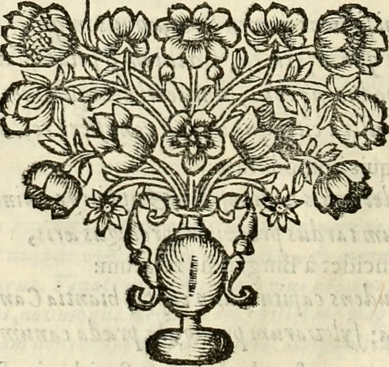 An illustration from D. Ioannis de Solorzano Pereira ... Emblemata centum, regio politica : ligneis laminis affabre caelata, vividisque et limitatis carminibus explicata, & singularibus commentarijs affatim illustrata : quibus, quicquid ad regum institutionem, et rectam reip. administrationem conducere & pertinere videtur, summo studio disseritur ... : cum quadruplici indice absolutissimo .., 1653, leaf 297