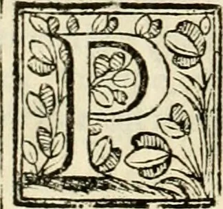 An illustration from D. Ioannis de Solorzano Pereira ... Emblemata centum, regio politica : ligneis laminis affabre caelata, vividisque et limitatis carminibus explicata, & singularibus commentarijs affatim illustrata : quibus, quicquid ad regum institutionem, et rectam reip. administrationem conducere & pertinere videtur, summo studio disseritur ... : cum quadruplici indice absolutissimo .., 1653, leaf 307