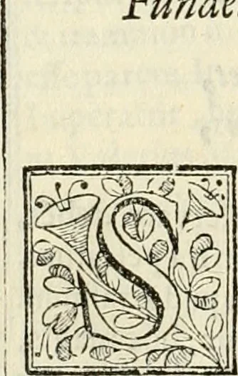 An illustration from D. Ioannis de Solorzano Pereira ... Emblemata centum, regio politica : ligneis laminis affabre caelata, vividisque et limitatis carminibus explicata, & singularibus commentarijs affatim illustrata : quibus, quicquid ad regum institutionem, et rectam reip. administrationem conducere & pertinere videtur, summo studio disseritur ... : cum quadruplici indice absolutissimo .., 1653, leaf 343