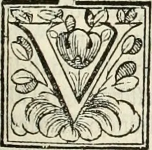 An illustration from D. Ioannis de Solorzano Pereira ... Emblemata centum, regio politica : ligneis laminis affabre caelata, vividisque et limitatis carminibus explicata, & singularibus commentarijs affatim illustrata : quibus, quicquid ad regum institutionem, et rectam reip. administrationem conducere & pertinere videtur, summo studio disseritur ... : cum quadruplici indice absolutissimo .., 1653, leaf 424