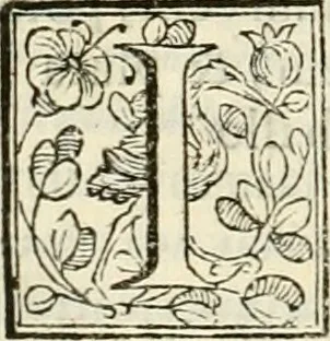 An illustration from D. Ioannis de Solorzano Pereira ... Emblemata centum, regio politica : ligneis laminis affabre caelata, vividisque et limitatis carminibus explicata, & singularibus commentarijs affatim illustrata : quibus, quicquid ad regum institutionem, et rectam reip. administrationem conducere & pertinere videtur, summo studio disseritur ... : cum quadruplici indice absolutissimo .., 1653, leaf 435