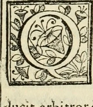An illustration from D. Ioannis de Solorzano Pereira ... Emblemata centum, regio politica : ligneis laminis affabre caelata, vividisque et limitatis carminibus explicata, & singularibus commentarijs affatim illustrata : quibus, quicquid ad regum institutionem, et rectam reip. administrationem conducere & pertinere videtur, summo studio disseritur ... : cum quadruplici indice absolutissimo .., 1653, leaf 449
