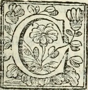 An illustration from D. Ioannis de Solorzano Pereira ... Emblemata centum, regio politica : ligneis laminis affabre caelata, vividisque et limitatis carminibus explicata, & singularibus commentarijs affatim illustrata : quibus, quicquid ad regum institutionem, et rectam reip. administrationem conducere & pertinere videtur, summo studio disseritur ... : cum quadruplici indice absolutissimo .., 1653, leaf 506