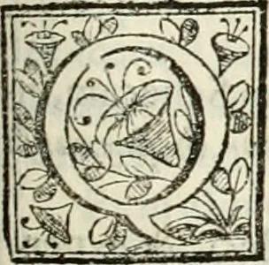 An illustration from D. Ioannis de Solorzano Pereira ... Emblemata centum, regio politica : ligneis laminis affabre caelata, vividisque et limitatis carminibus explicata, & singularibus commentarijs affatim illustrata : quibus, quicquid ad regum institutionem, et rectam reip. administrationem conducere & pertinere videtur, summo studio disseritur ... : cum quadruplici indice absolutissimo .., 1653, leaf 514