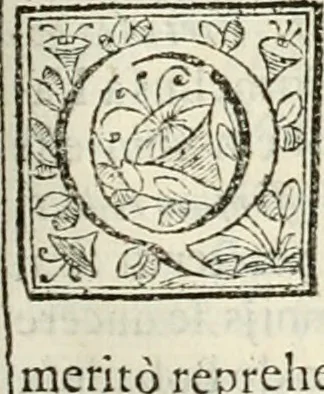 An illustration from D. Ioannis de Solorzano Pereira ... Emblemata centum, regio politica : ligneis laminis affabre caelata, vividisque et limitatis carminibus explicata, & singularibus commentarijs affatim illustrata : quibus, quicquid ad regum institutionem, et rectam reip. administrationem conducere & pertinere videtur, summo studio disseritur ... : cum quadruplici indice absolutissimo .., 1653, leaf 544