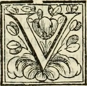 An illustration from D. Ioannis de Solorzano Pereira ... Emblemata centum, regio politica : ligneis laminis affabre caelata, vividisque et limitatis carminibus explicata, & singularibus commentarijs affatim illustrata : quibus, quicquid ad regum institutionem, et rectam reip. administrationem conducere & pertinere videtur, summo studio disseritur ... : cum quadruplici indice absolutissimo .., 1653, leaf 549