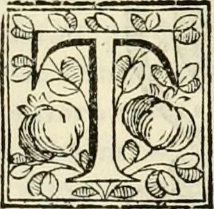 An illustration from D. Ioannis de Solorzano Pereira ... Emblemata centum, regio politica : ligneis laminis affabre caelata, vividisque et limitatis carminibus explicata, & singularibus commentarijs affatim illustrata : quibus, quicquid ad regum institutionem, et rectam reip. administrationem conducere & pertinere videtur, summo studio disseritur ... : cum quadruplici indice absolutissimo .., 1653, leaf 67