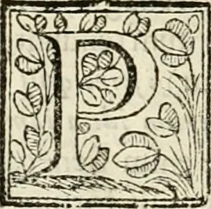 An illustration from D. Ioannis de Solorzano Pereira ... Emblemata centum, regio politica : ligneis laminis affabre caelata, vividisque et limitatis carminibus explicata, & singularibus commentarijs affatim illustrata : quibus, quicquid ad regum institutionem, et rectam reip. administrationem conducere & pertinere videtur, summo studio disseritur ... : cum quadruplici indice absolutissimo .., 1653, leaf 77