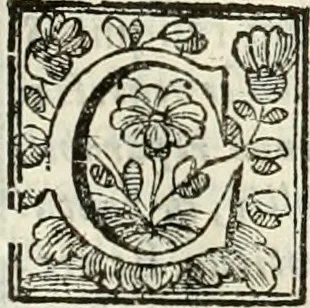 An illustration from D. Ioannis de Solorzano Pereira ... Emblemata centum, regio politica : ligneis laminis affabre caelata, vividisque et limitatis carminibus explicata, & singularibus commentarijs affatim illustrata : quibus, quicquid ad regum institutionem, et rectam reip. administrationem conducere & pertinere videtur, summo studio disseritur ... : cum quadruplici indice absolutissimo .., 1653, leaf 836