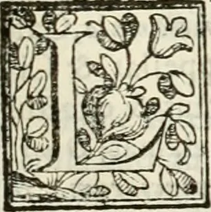 An illustration from D. Ioannis de Solorzano Pereira ... Emblemata centum, regio politica : ligneis laminis affabre caelata, vividisque et limitatis carminibus explicata, & singularibus commentarijs affatim illustrata : quibus, quicquid ad regum institutionem, et rectam reip. administrationem conducere & pertinere videtur, summo studio disseritur ... : cum quadruplici indice absolutissimo .., 1653, leaf 862