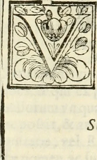 An illustration from D. Ioannis de Solorzano Pereira ... Emblemata centum, regio politica : ligneis laminis affabre caelata, vividisque et limitatis carminibus explicata, & singularibus commentarijs affatim illustrata : quibus, quicquid ad regum institutionem, et rectam reip. administrationem conducere & pertinere videtur, summo studio disseritur ... : cum quadruplici indice absolutissimo .., 1653, leaf 871