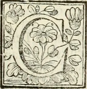 An illustration from D. Ioannis de Solorzano Pereira ... Emblemata centum, regio politica : ligneis laminis affabre caelata, vividisque et limitatis carminibus explicata, & singularibus commentarijs affatim illustrata : quibus, quicquid ad regum institutionem, et rectam reip. administrationem conducere & pertinere videtur, summo studio disseritur ... : cum quadruplici indice absolutissimo .., 1653, leaf 90