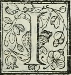 An illustration from D. Ioannis de Solorzano Pereira ... Emblemata centum, regio politica : Aeneis laminis affabre caelata, vividisque, et limatis carminibus explicita, & singularibus commentariis affatim illutrata : quibus, quicquid ad regum institutionem, et rectam reip. administrationem conducere, & pertinere videtur, summo studio disseritur ... cùm quadruplici indice absolutissimo ..., 1653, leaf 10